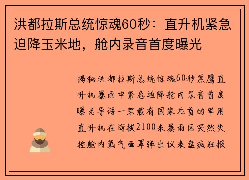 洪都拉斯总统惊魂60秒：直升机紧急迫降玉米地，舱内录音首度曝光