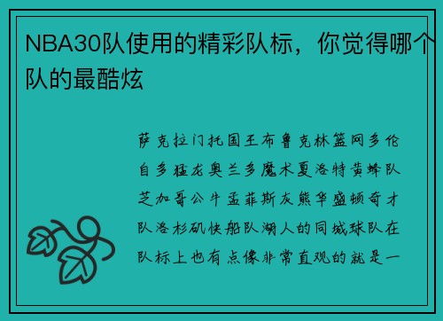 NBA30队使用的精彩队标，你觉得哪个队的最酷炫