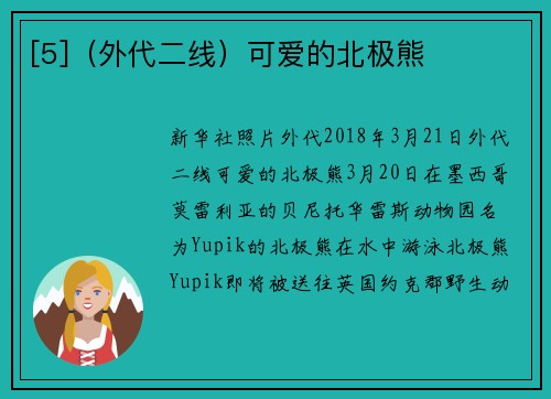 [5]（外代二线）可爱的北极熊