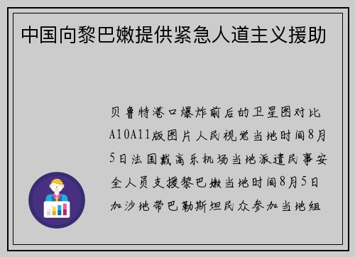 中国向黎巴嫩提供紧急人道主义援助
