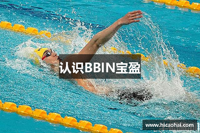 认识BBIN宝盈